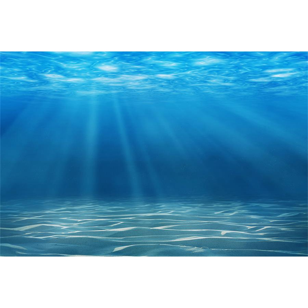 Sualtı Dünyası Deniz Dibi Foto - Aquarium Fish Of The World incelemesi ve fiyatı