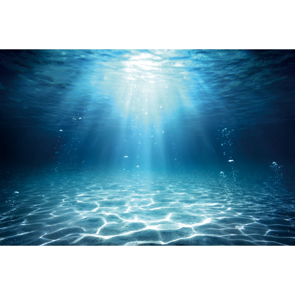 Sualtı Dünyası Deniz Dibi Foto - Aquarium Fish Of The World incelemesi ve fiyatı