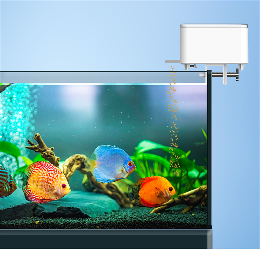 WiFi Akıllı Otomatik Besleyici - Aquarium Fish App incelemesi ve fiyatı