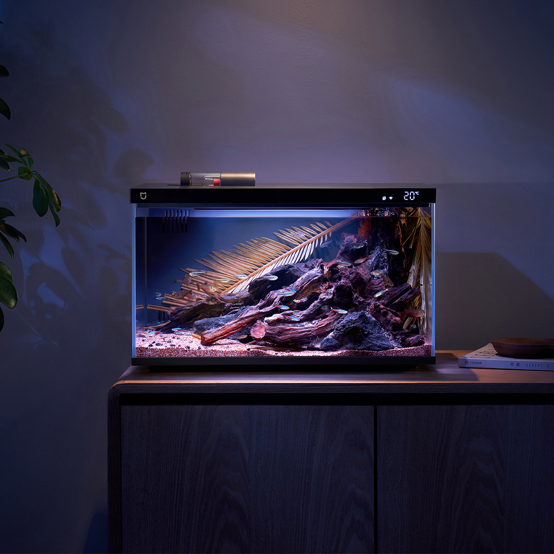 Xiaomi Mijia Akıllı Balık Tank - Aquarium Fish App incelemesi ve fiyatı