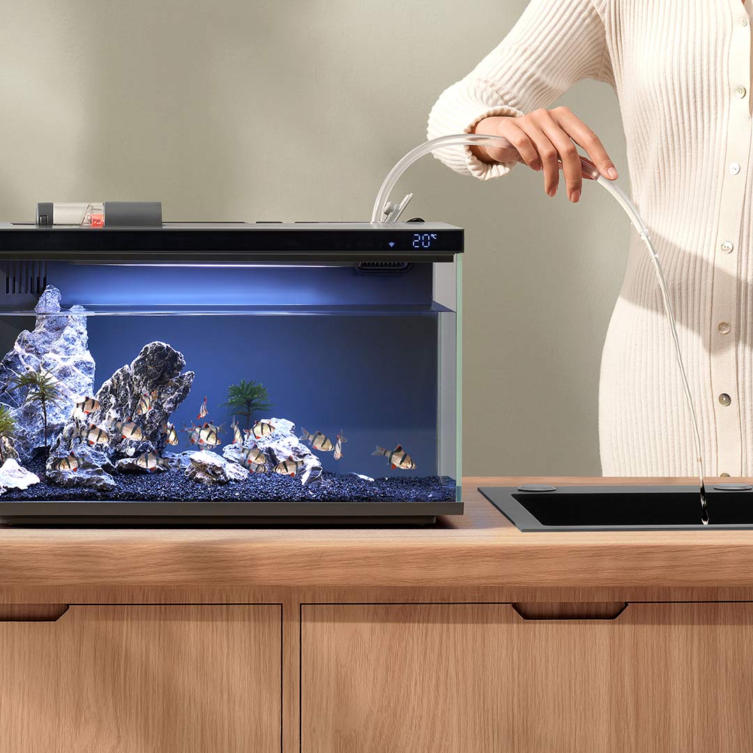 Xiaomi Mijia Akıllı Balık Tank - Aquarium Fish App incelemesi ve fiyatı