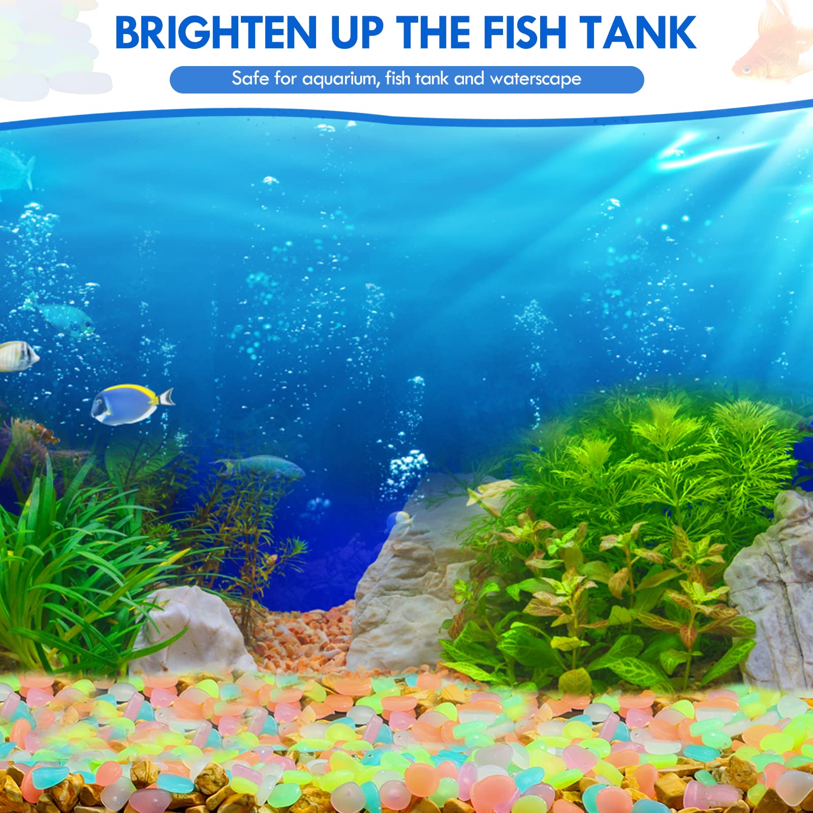 100 Adet Karanlıkta Glow Bahçe - Aquarium Fish Guppy incelemesi ve fiyatı