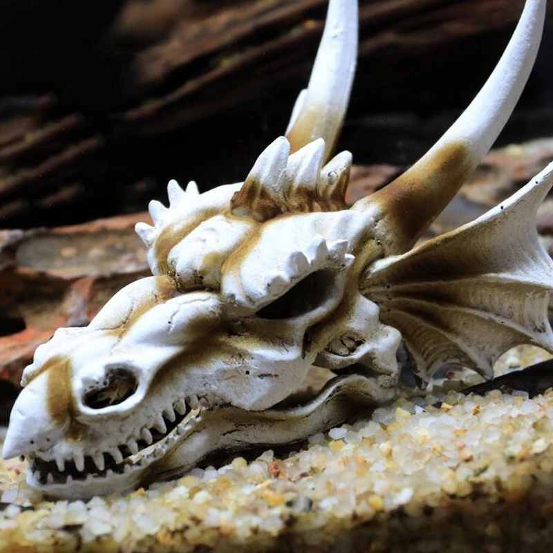 Akvaryum balık tankı dinozor k - Aquarium Fish Popular incelemesi ve fiyatı