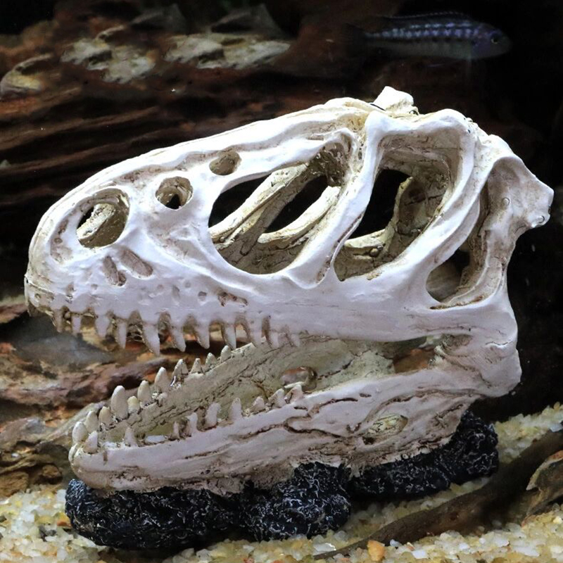 Akvaryum balık tankı dinozor k - Aquarium Fish Popular incelemesi ve fiyatı