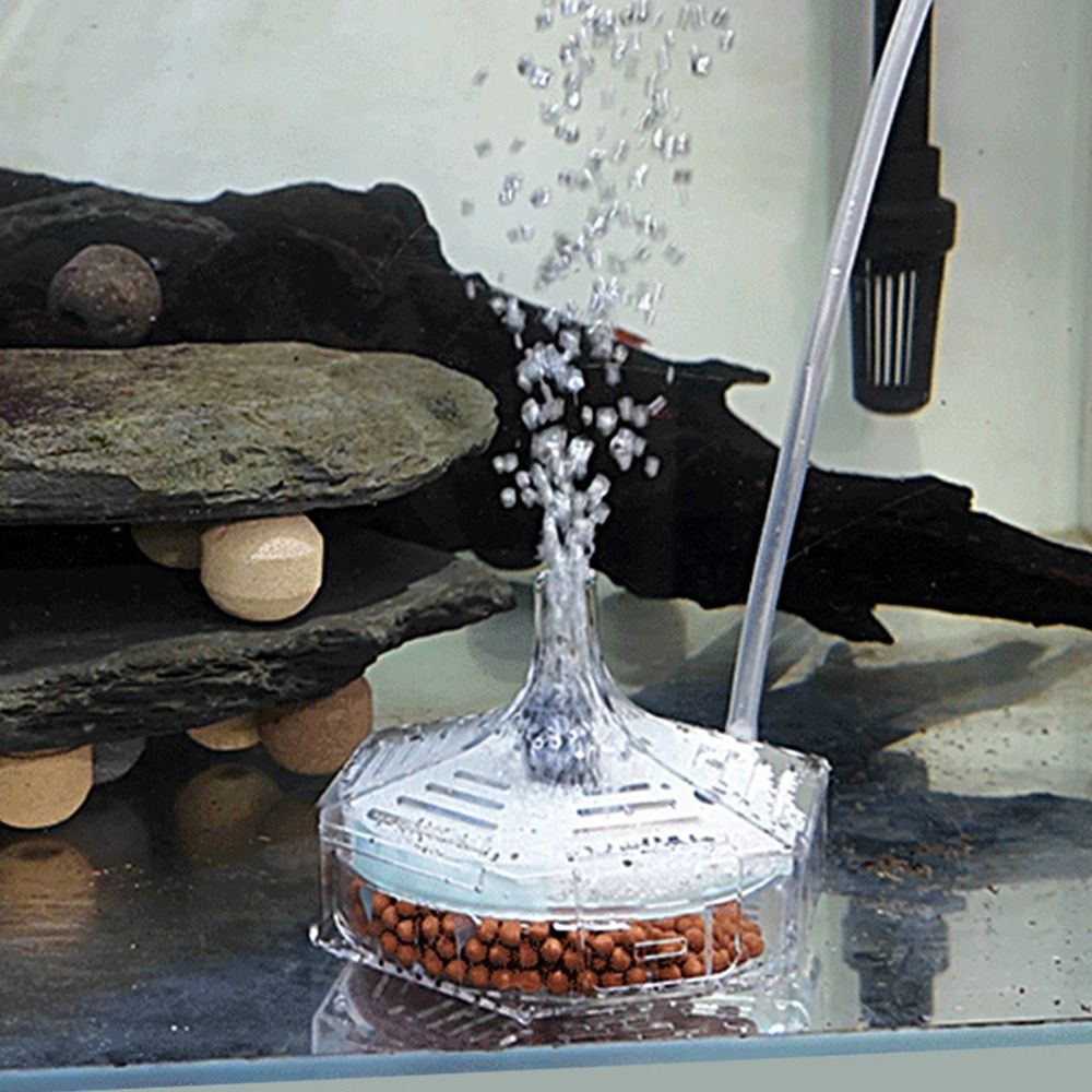 Yeni Taşınabilir Akvaryum Balı - Aquarium Fish For Beginners incelemesi ve fiyatı