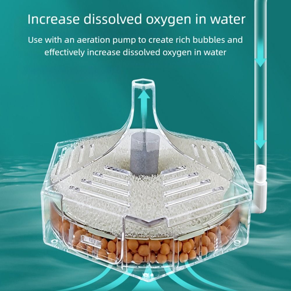 Yeni Taşınabilir Akvaryum Balı - Aquarium Fish For Beginners incelemesi ve fiyatı