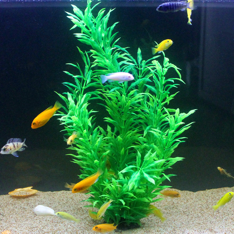 50 CM Yapay Balık Tankı Nadir  - Aquarium Fish Guppy incelemesi ve fiyatı