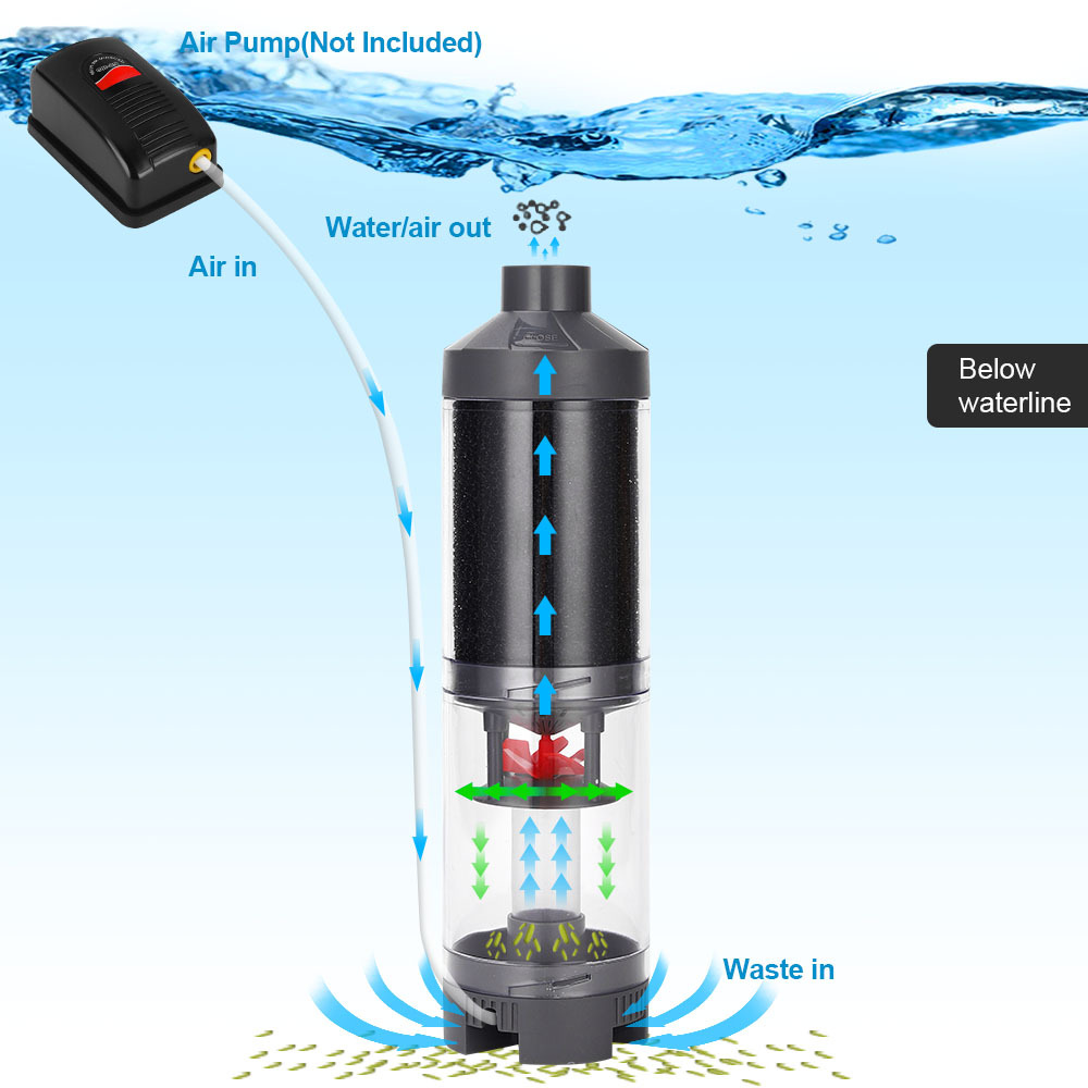 Popüler Sıcak satış Akvaryum B - Aquarium Fish Popular incelemesi ve fiyatı