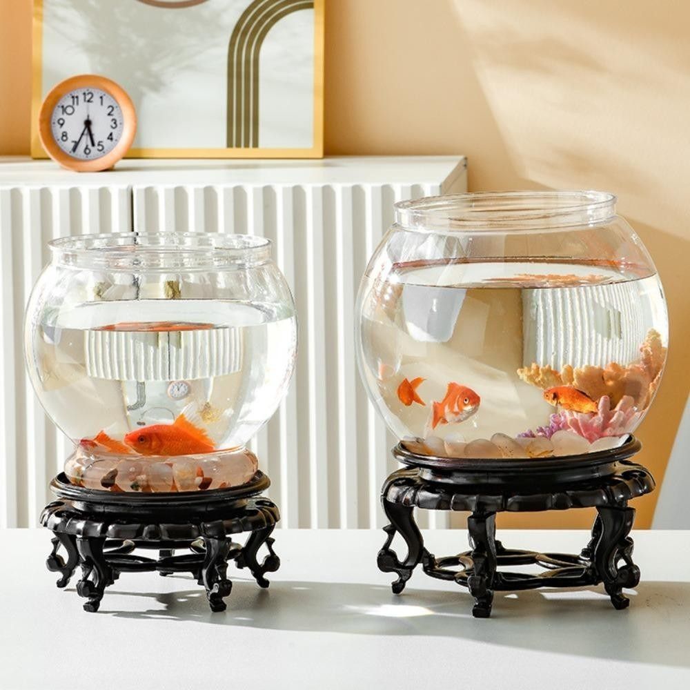 Yeni Şeffaf Balık Tankı Yuvarl - Aquarium Fish For Beginners incelemesi ve fiyatı