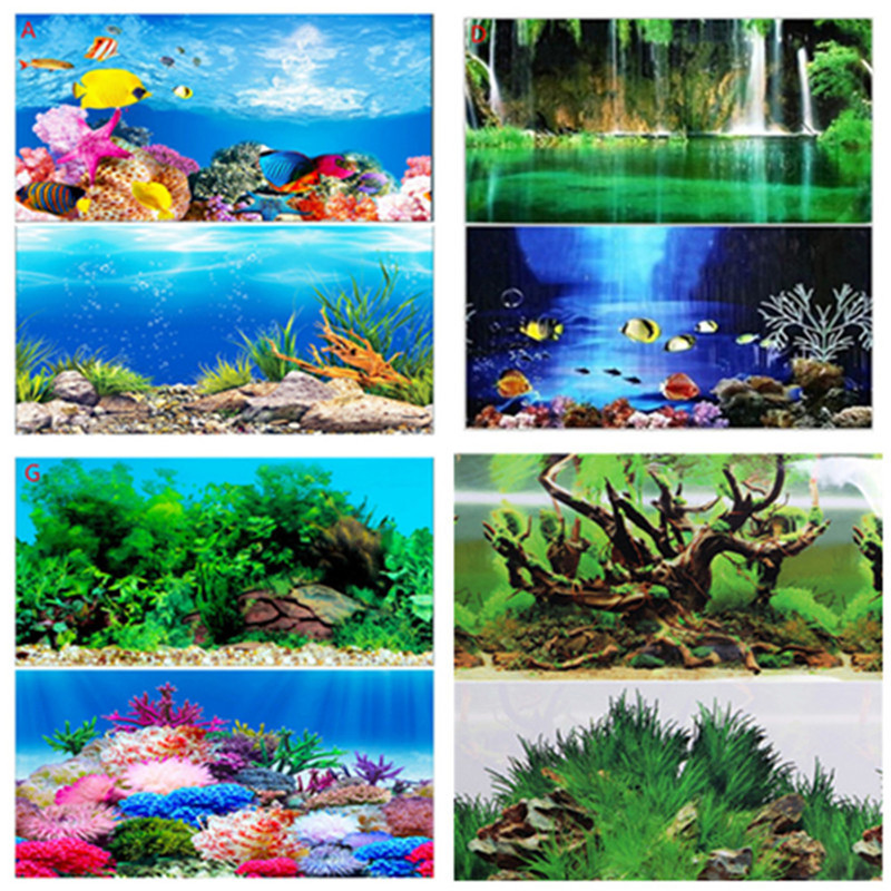 30CM 40CM Yüksek Parlak Çift T - Fish In Aquarium Picture incelemesi ve fiyatı