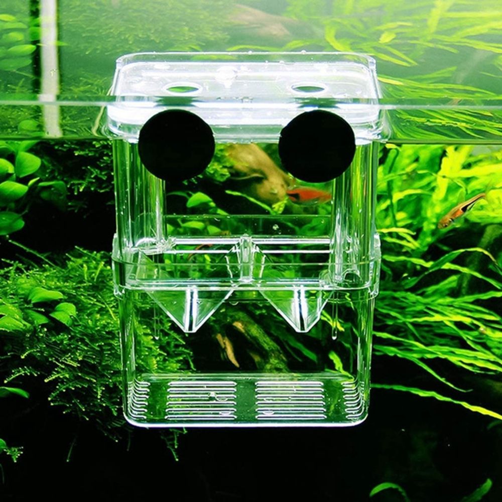Çok Fonksiyonlu Akvaryum Balık - Aquarium Fish Reproduction incelemesi ve fiyatı