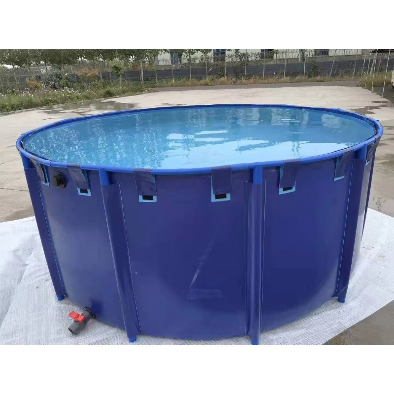 Toptan Özel Dış Mekan Büyük Bo - Aquarium Fish Popular incelemesi ve fiyatı