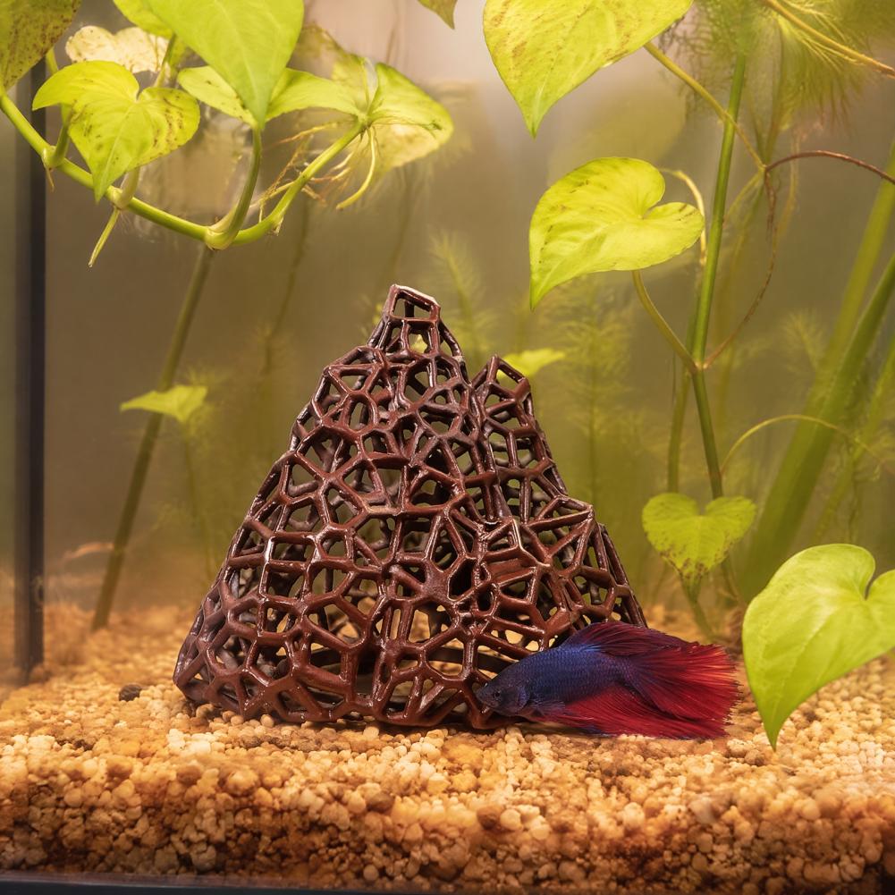 Su Ürünleri Peyzaj Süsü Akvary - Fish In Aquarium Picture incelemesi ve fiyatı