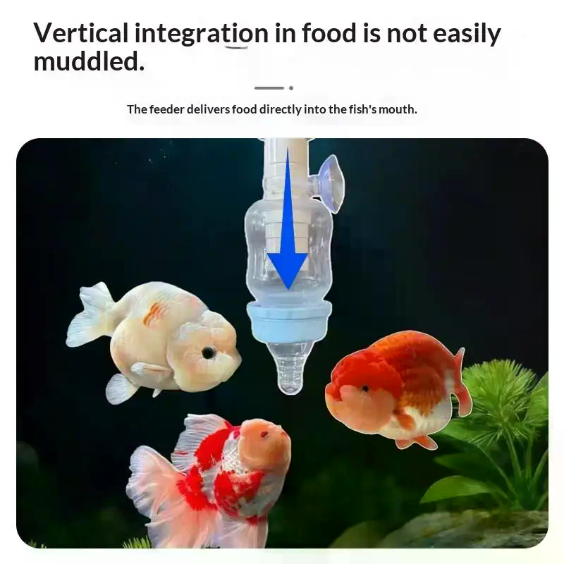 Popüler Hassas Balık Besleyici - Aquarium Fish Popular incelemesi ve fiyatı