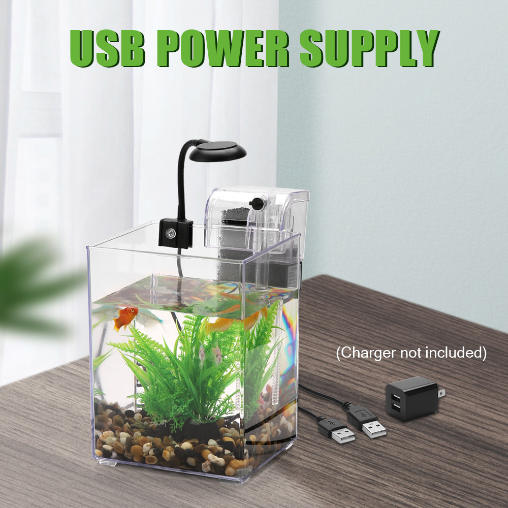 USB masaüstü balık tankı seti- - Aquarium Fish For Beginners incelemesi ve fiyatı