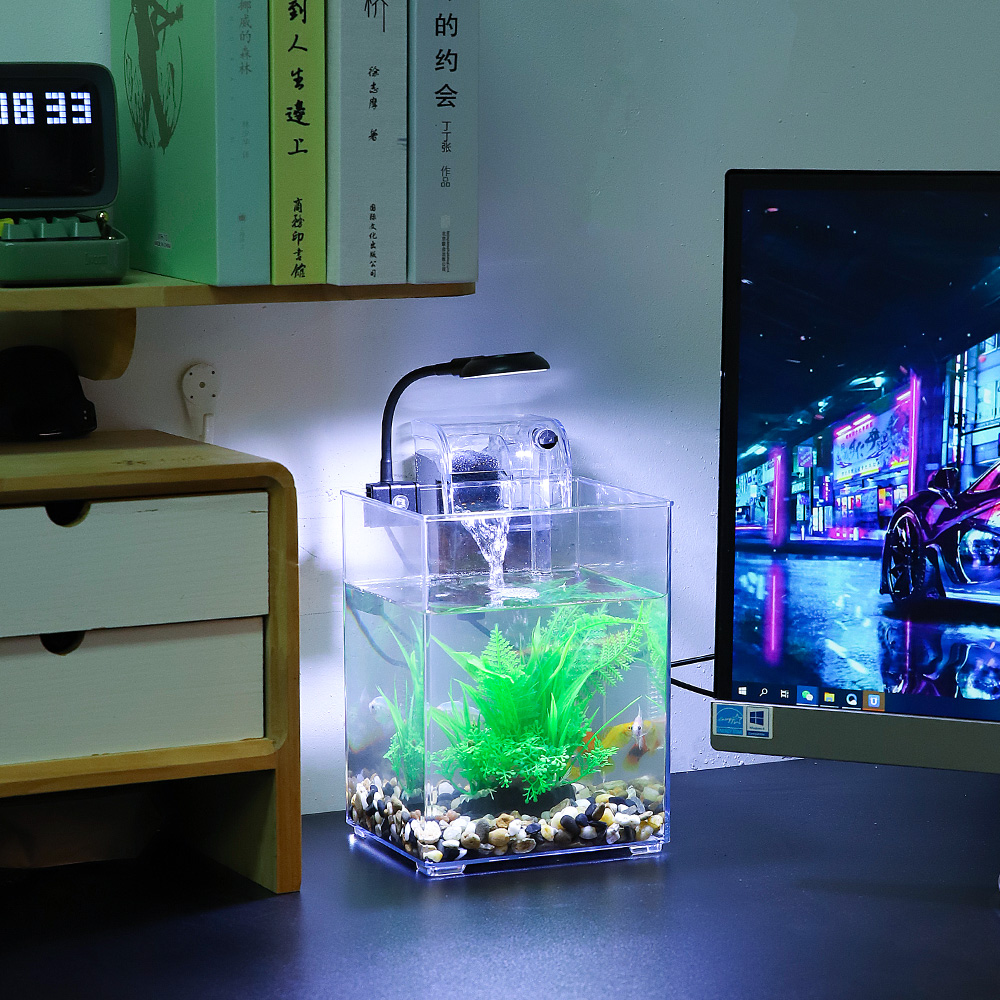 USB masaüstü balık tankı seti- - Aquarium Fish For Beginners incelemesi ve fiyatı