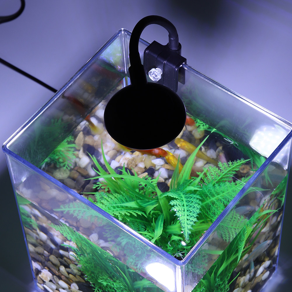 USB masaüstü balık tankı seti- - Aquarium Fish For Beginners incelemesi ve fiyatı