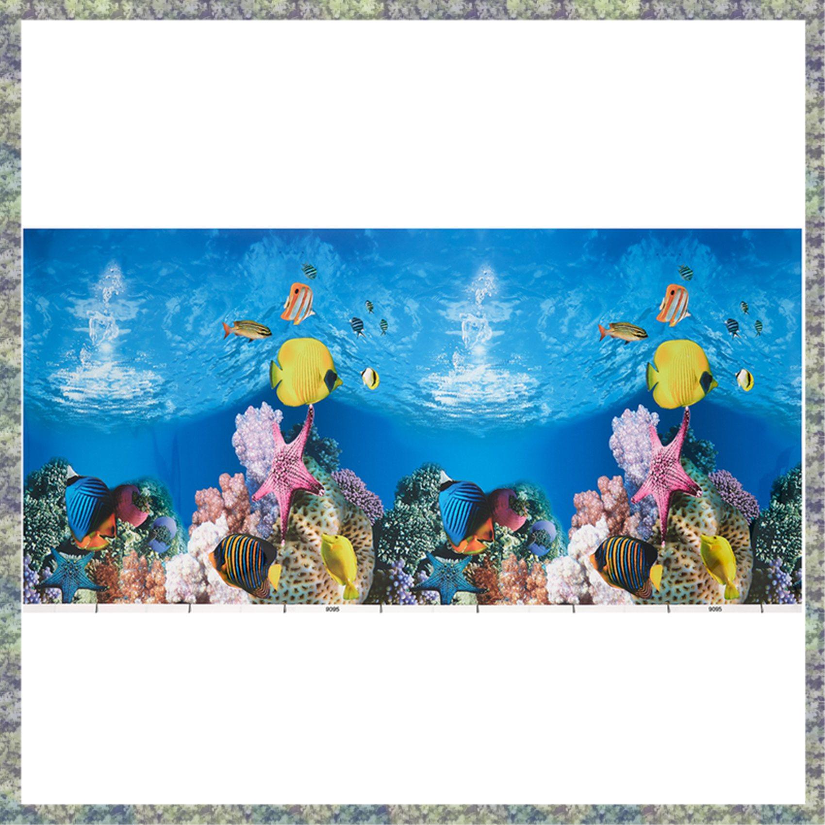 WON Akvaryum Arka Plan Kağıdı  - Fish In Aquarium Picture incelemesi ve fiyatı